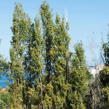Casa El Castanal Con Piscina Privada Comarca de Vigo