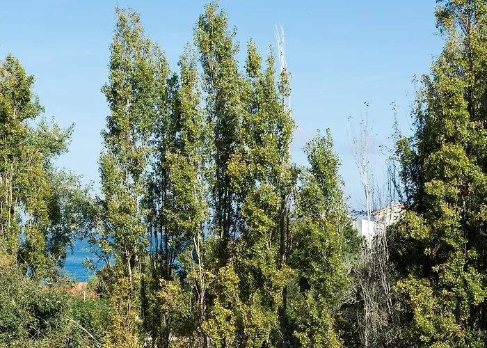 Casa El Castanal Con Piscina Privada Виго